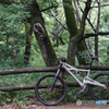 Cannondale Prophet