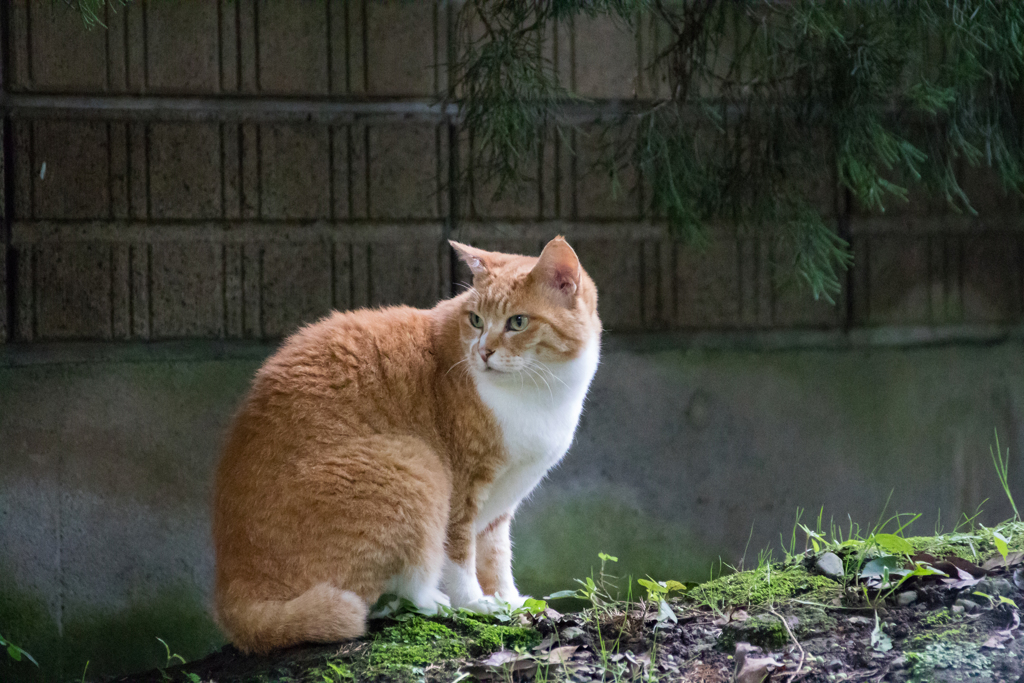 久しぶり！