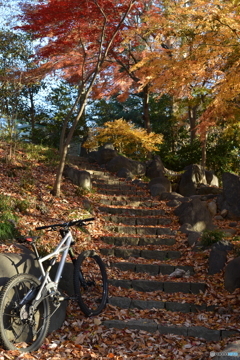 仮想の「山」