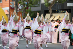 第61回 東京高円寺阿波おどり(2)