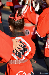 立正佼成会 お会式・一乗まつり 2015 (15)