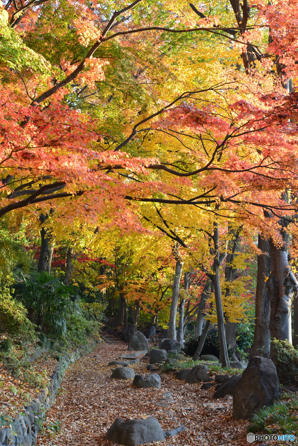 近所の公園で