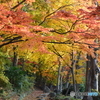 近所の公園で