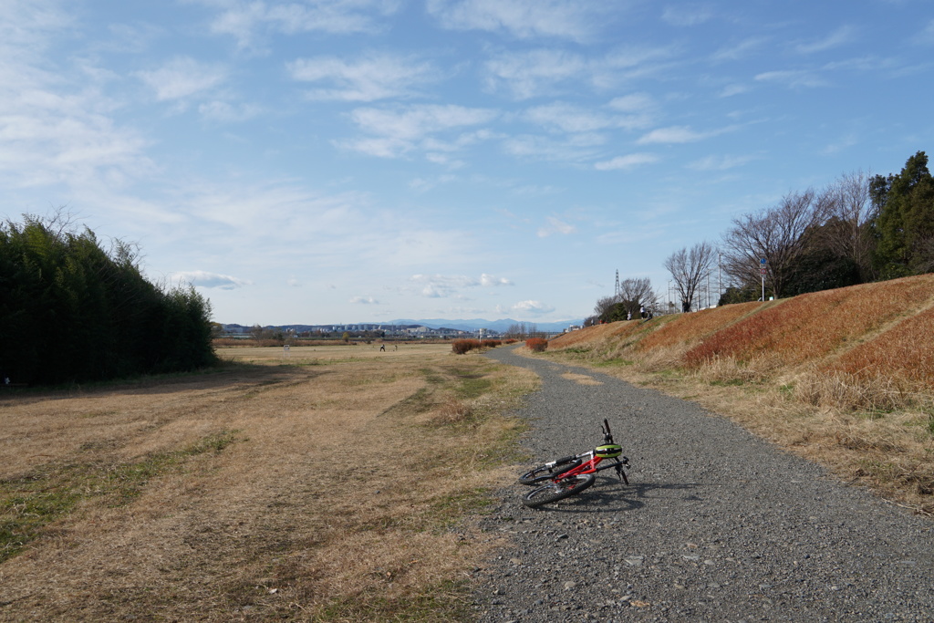 多摩川河川敷