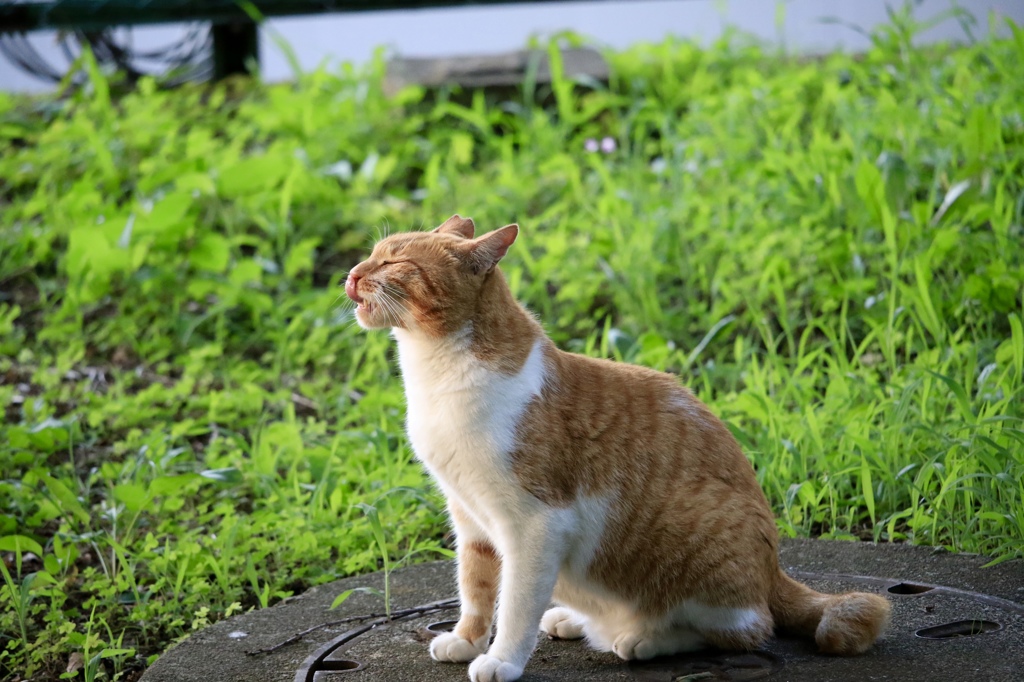 え? ダメ？