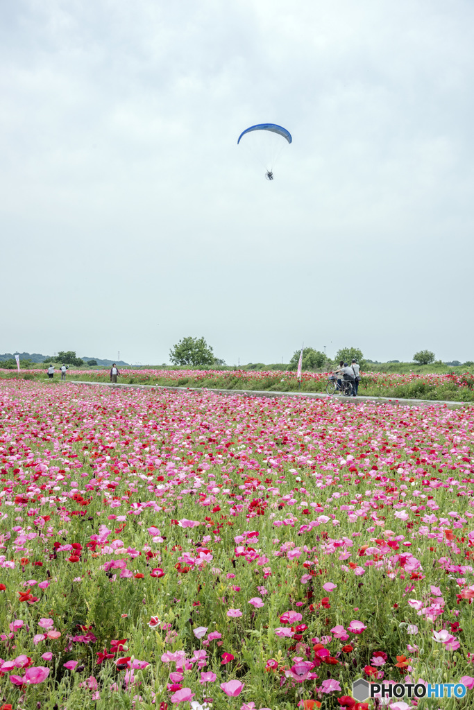 空さんぽ