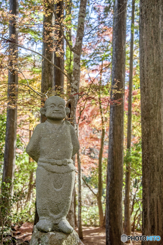 私のお気に入り