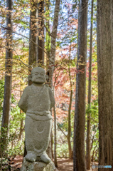 私のお気に入り