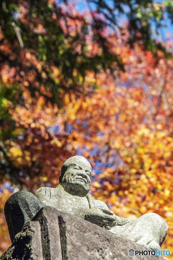 紅葉の中で瞑想