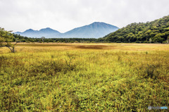 小田代原