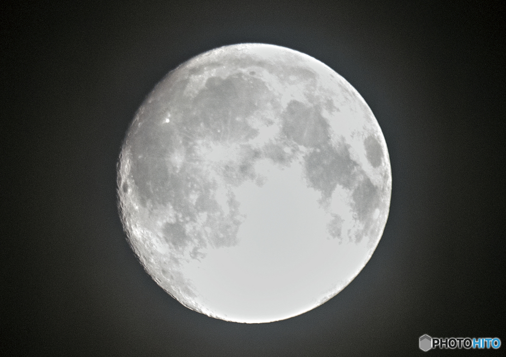 今年の十五夜♪