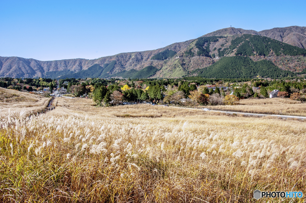 仙石原と箱根の山々