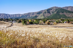 仙石原と箱根の山々