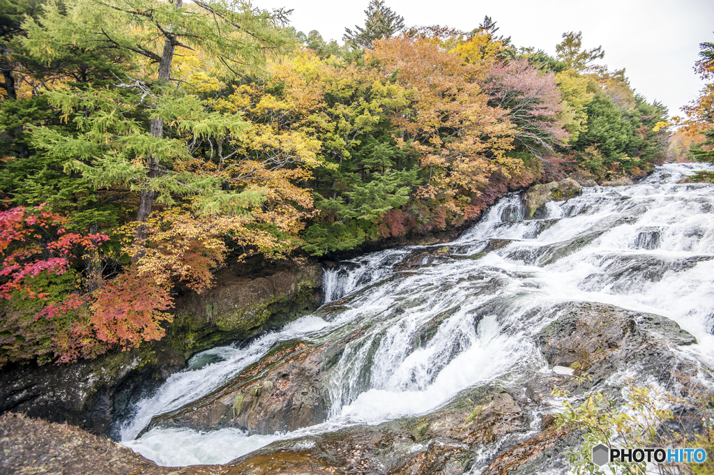 渓流沿いの紅葉