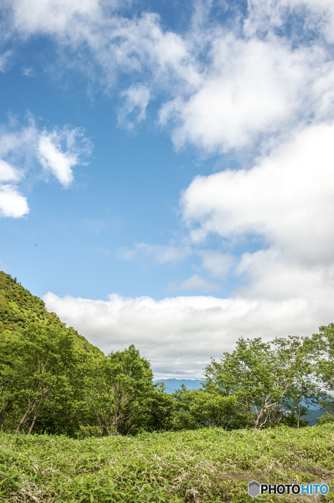 山の上の夏空