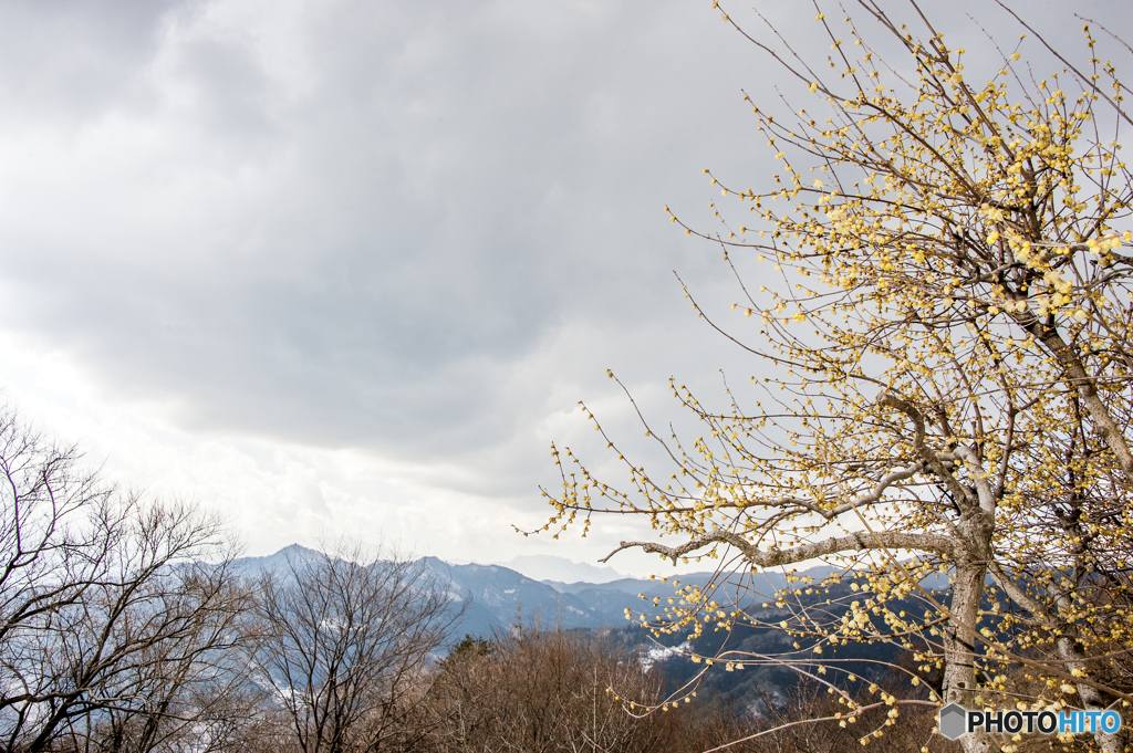 雪空のもと