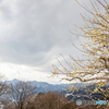 雪空のもと