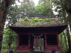 戸隠神社奥社参道