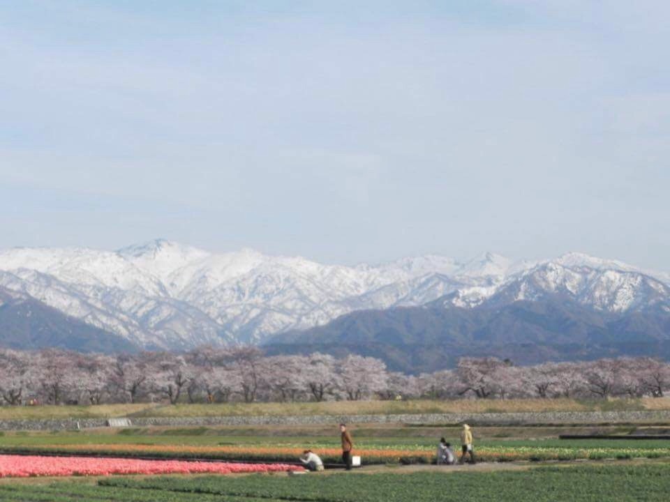 田園風景