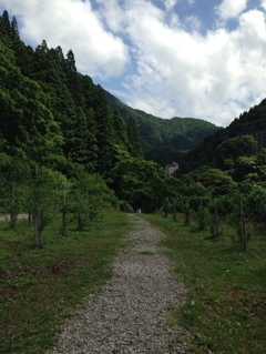 遊歩道の先は？