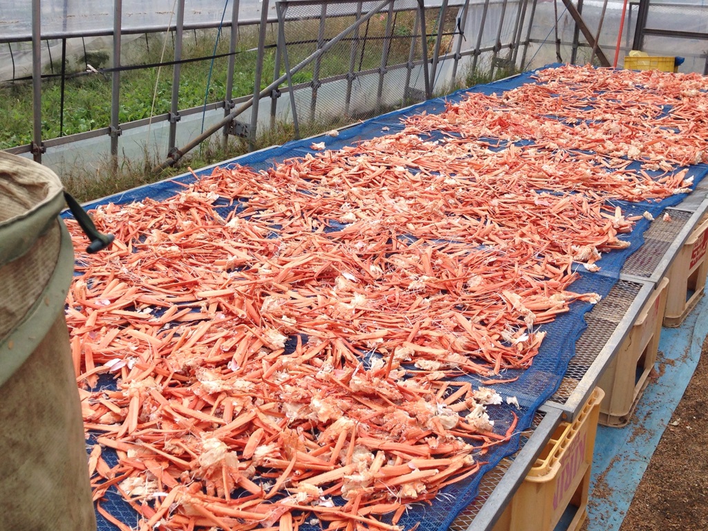 こだわりファーム