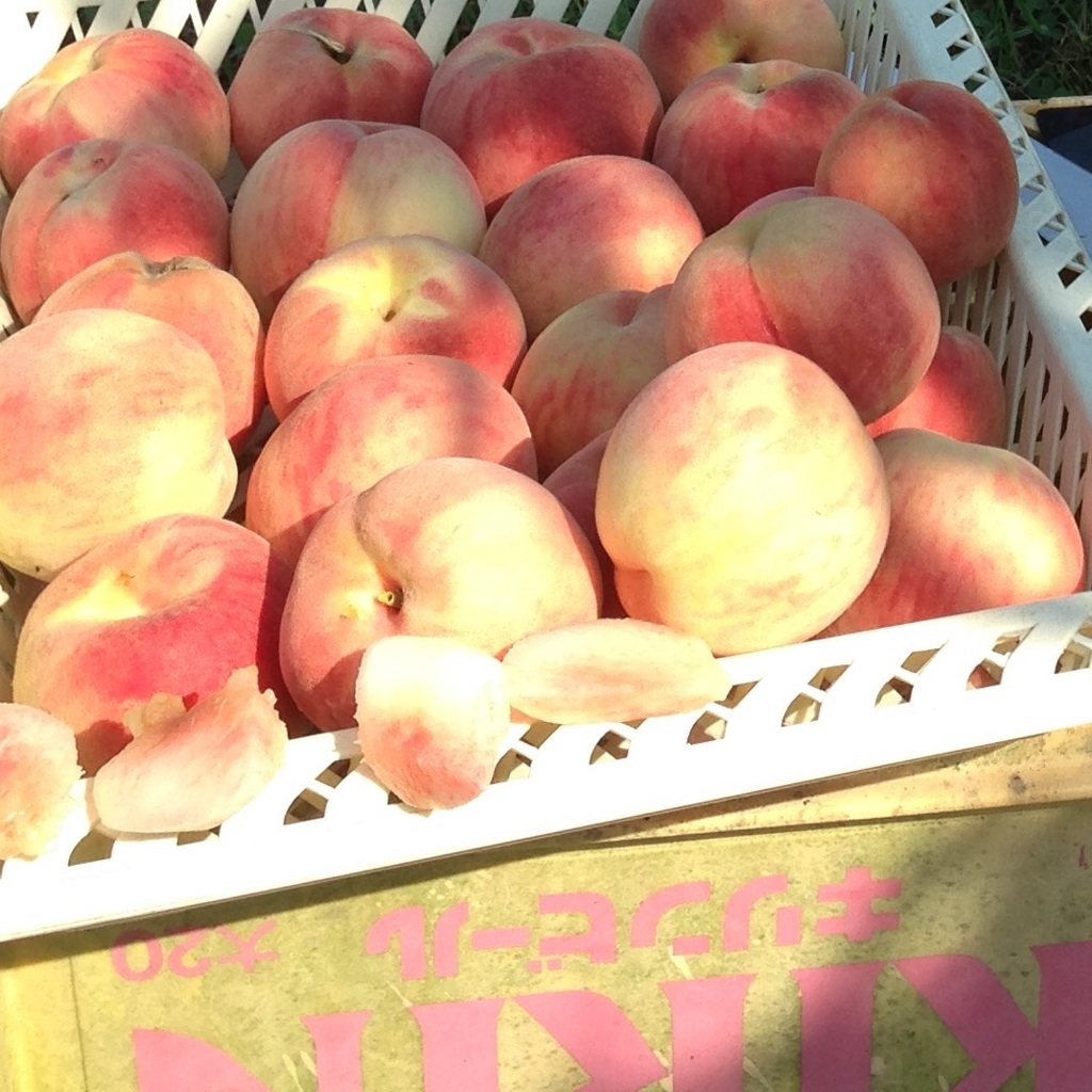 そっと、そっと。