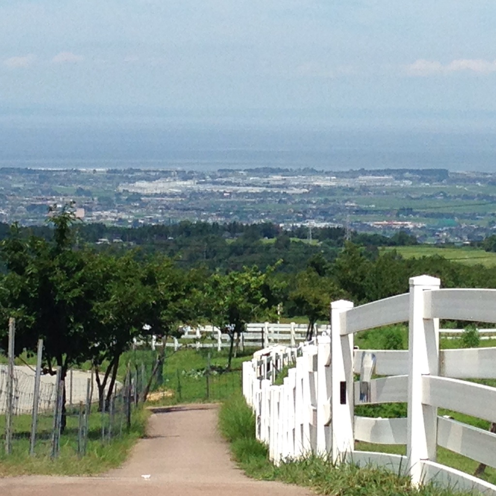 地平線へ続く小道