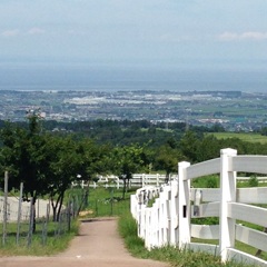 地平線へ続く小道