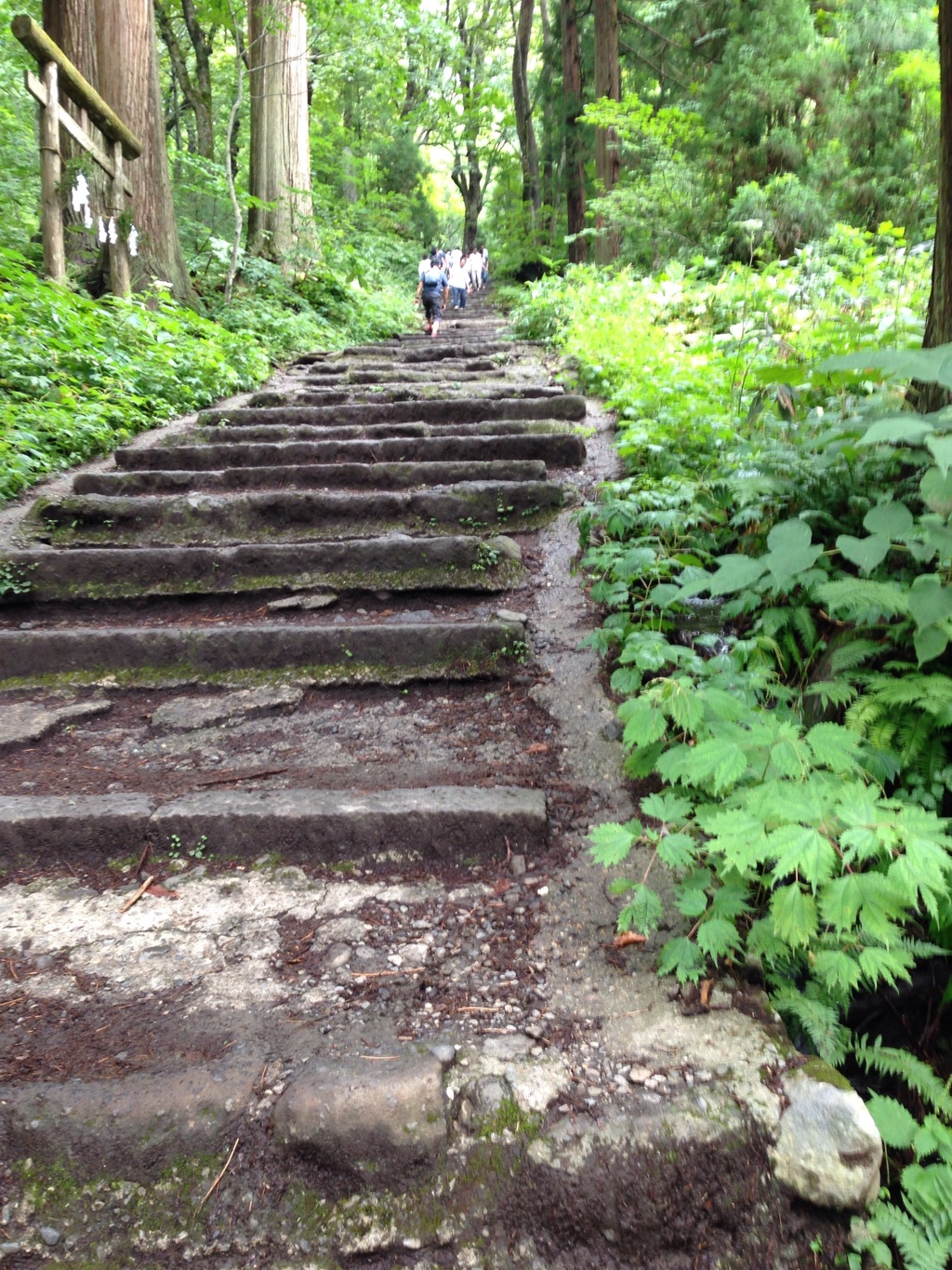 山の神へと続く道