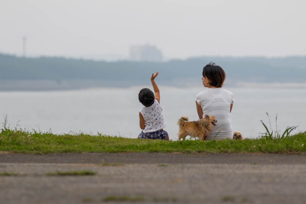 散歩の途中