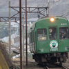 平面ガエル