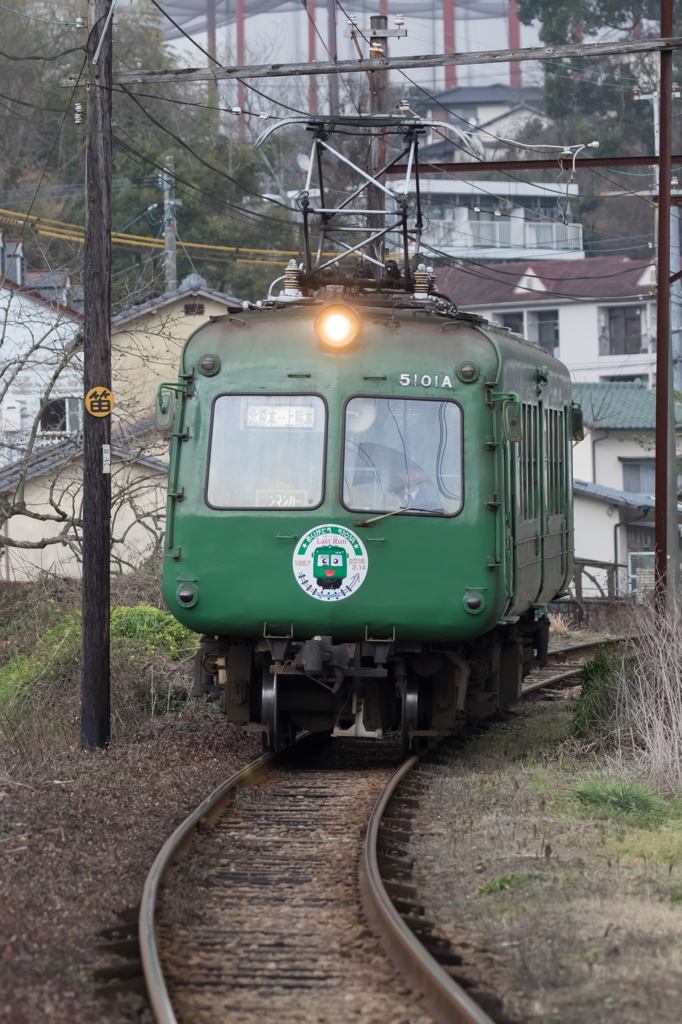 これが最後の青ガエル