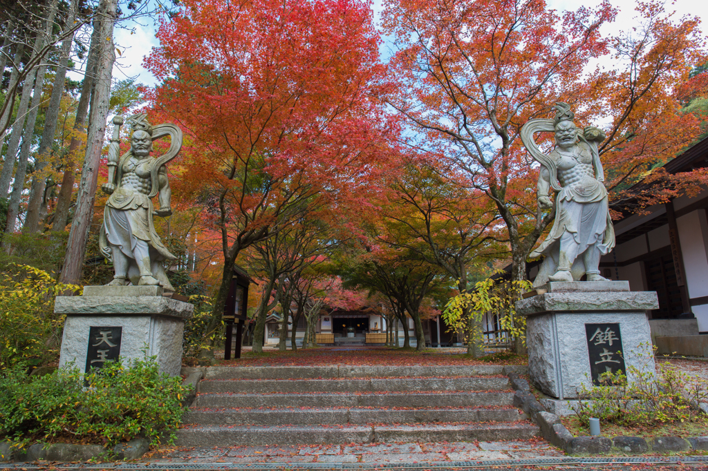 紅の参道