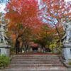 紅の参道