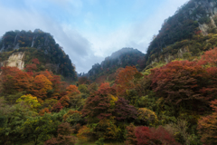 朝霧の景