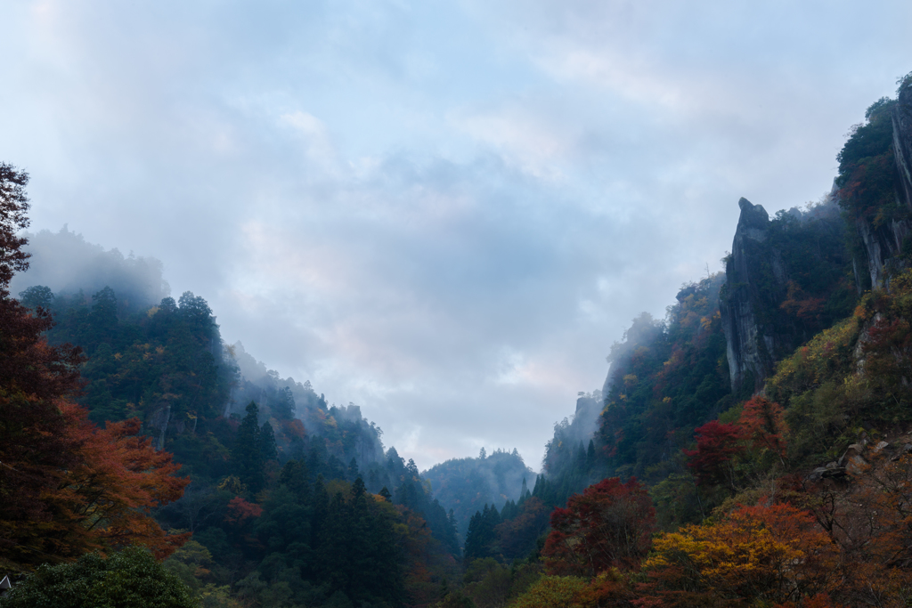 幽玄の景