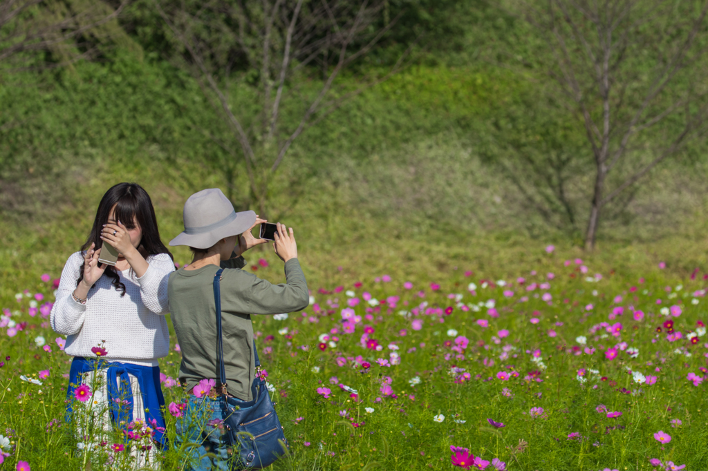 綺麗だね、
