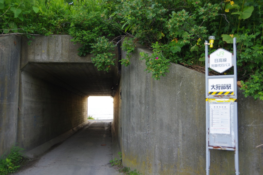 JR北海道　日高本線　大狩部駅