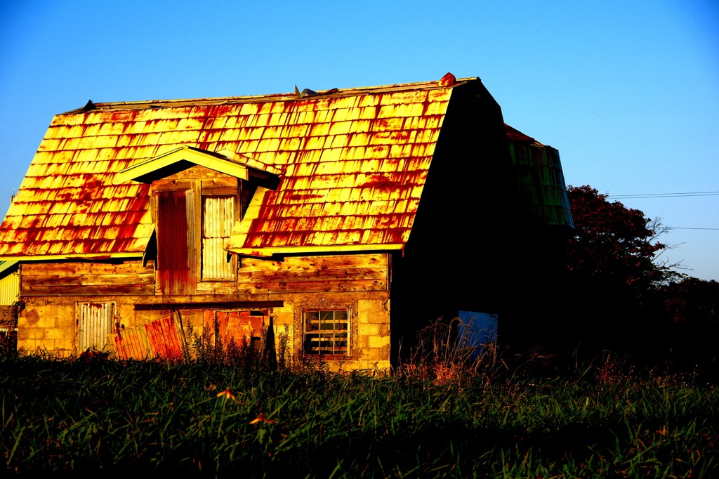 廃屋の厩舎