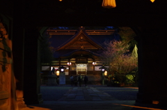 梅咲く、尾山神社