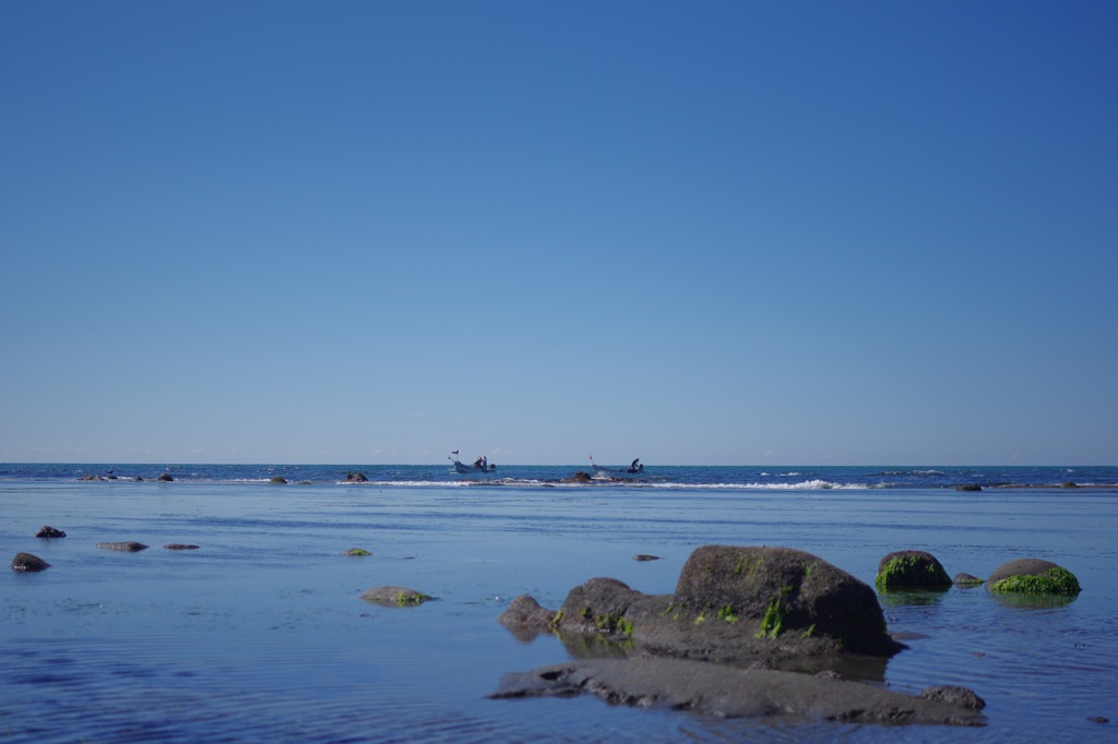 秋晴れの昆布漁