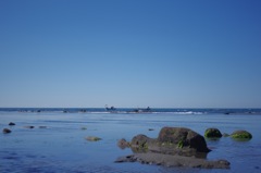 秋晴れの昆布漁