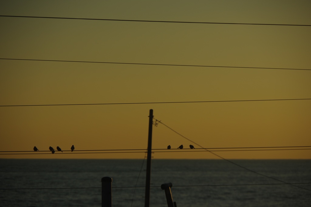 今日の日はどうだったい？