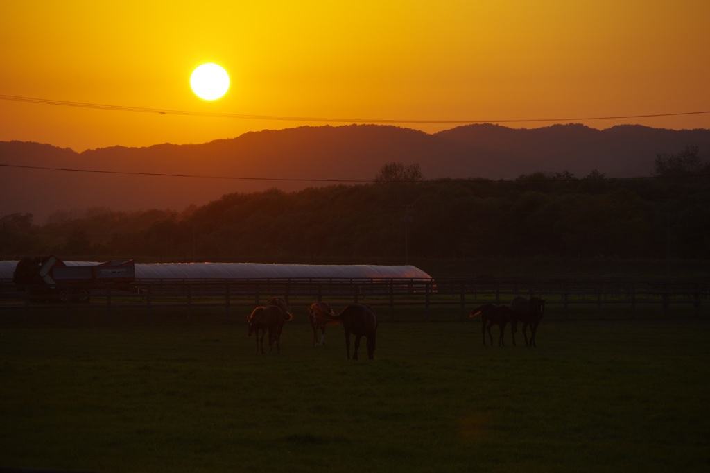 そろそろ帰ろうか…