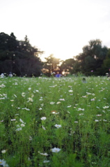 夕陽の中に