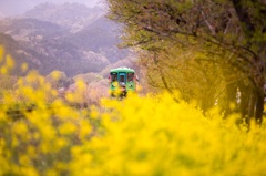 樽見鉄道