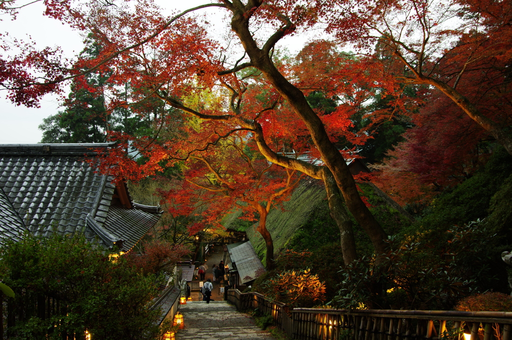 秋の大興禅寺