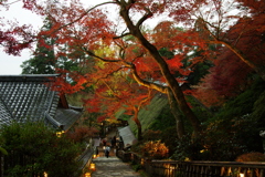 秋の大興禅寺