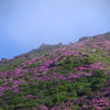 華やかな季節