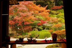 枯山水の秋